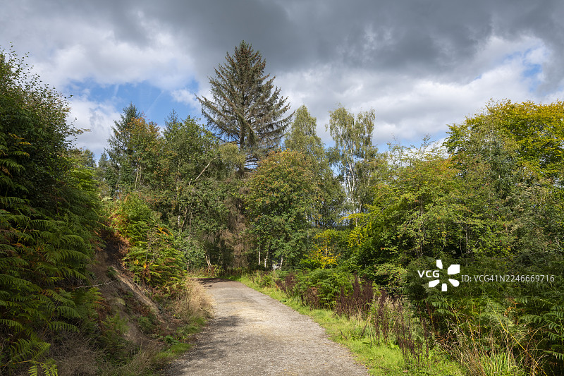 莱弗林谷，谢菲尔德，英格兰，怀明布鲁克驱动器图片素材