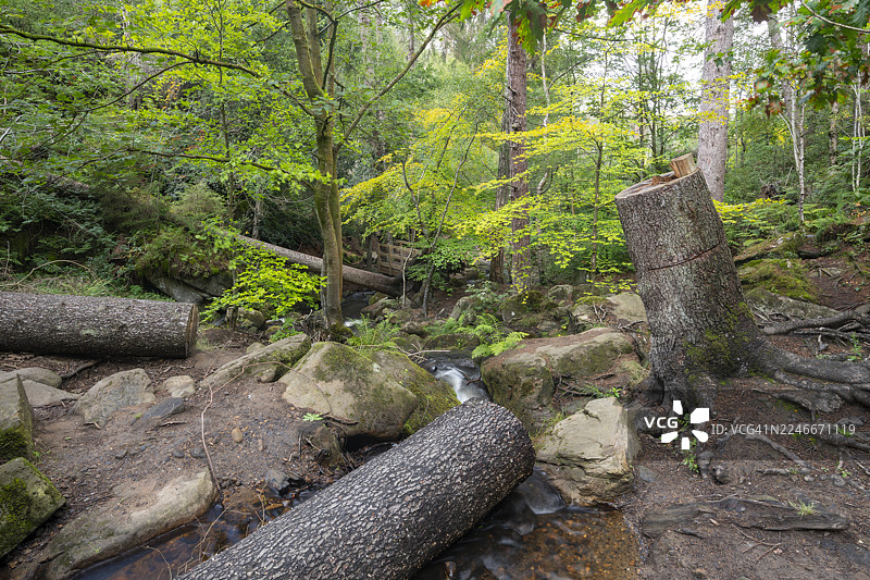 英格兰谢菲尔德里弗林山谷的怀明溪图片素材