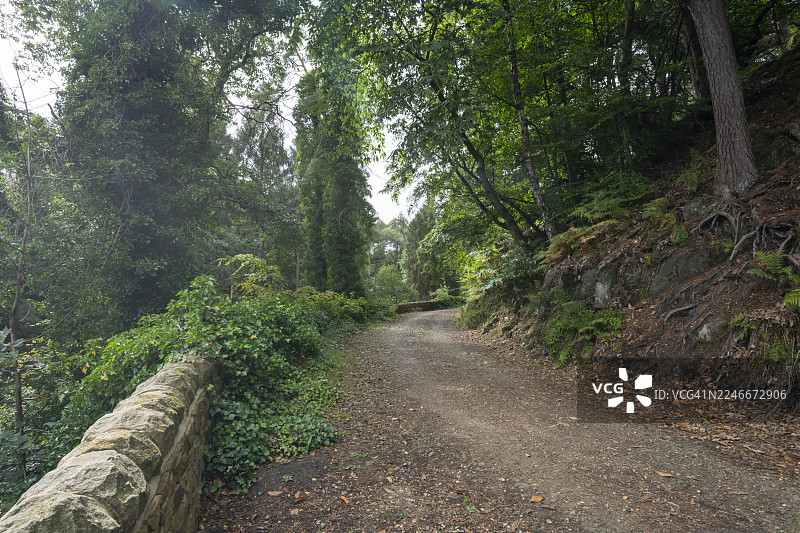 英国谢菲尔德里夫林谷怀明布鲁克大道图片素材