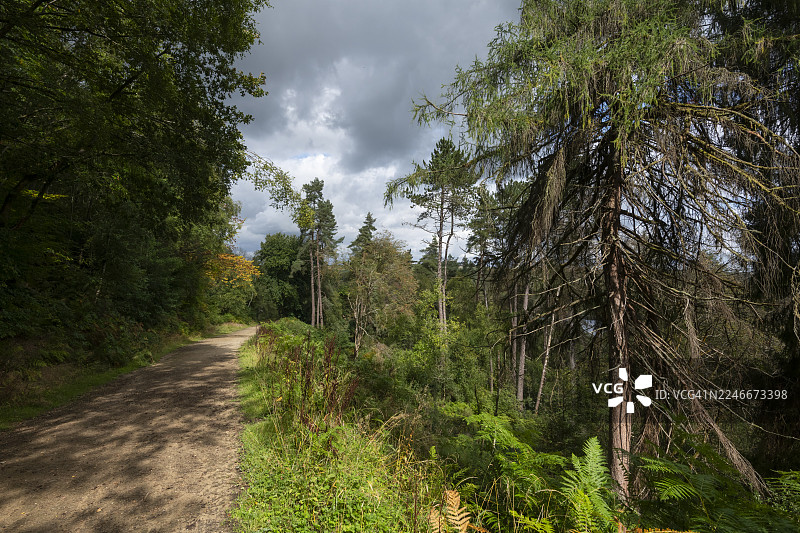 怀明布鲁克大道，里维林谷，谢菲尔德，英格兰图片素材