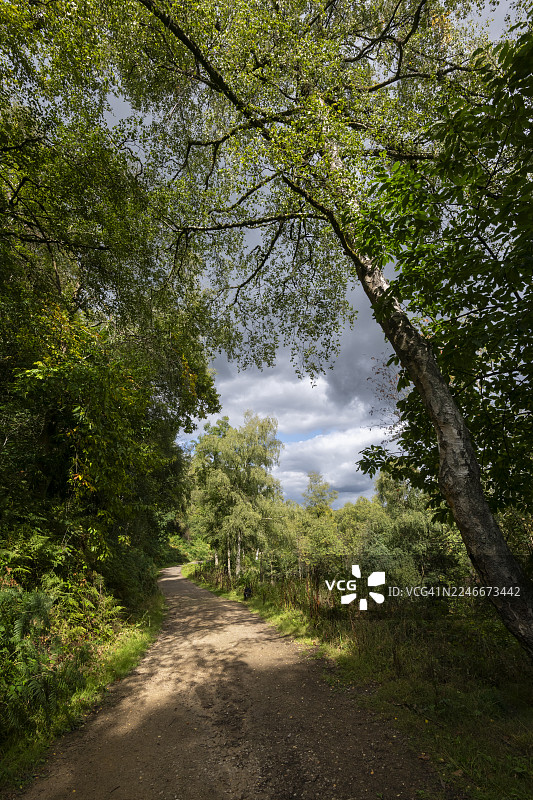 怀明布鲁克大道，里夫林谷，谢菲尔德，英格兰图片素材