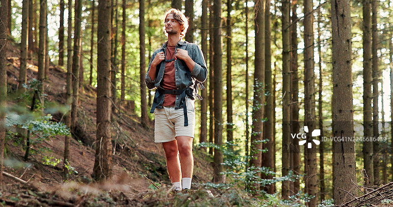 思考、大自然与森林中的人，休息、观光、旅行或户外背包旅行。探索、放松、在树林中漫步，带着思考、徒步爱好和旅程，或背着背包享受新鲜空气。图片素材