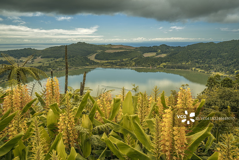 安达卢西亚莱夫里哈传统白色房屋的全景屋顶景观图片素材