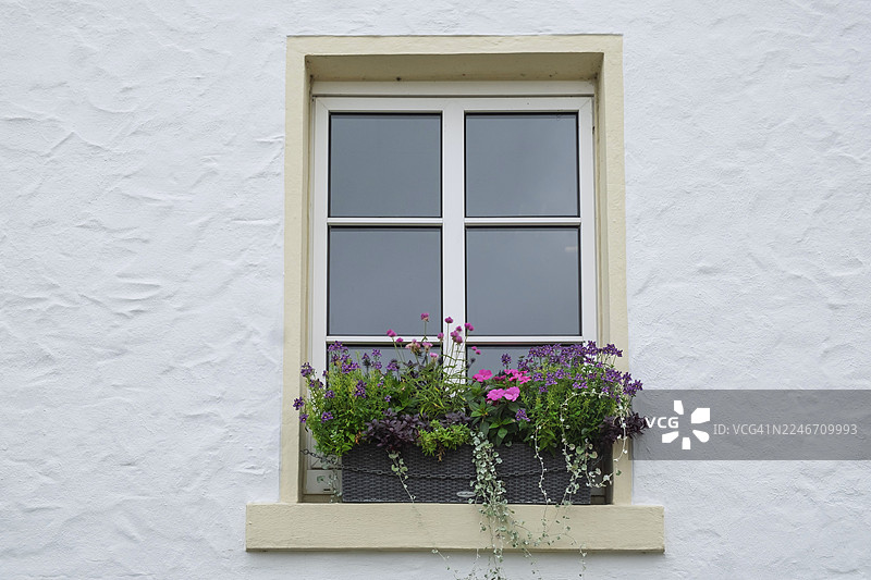 德国北莱茵-威斯特法伦州明斯特兰地区，现代白色窗户配有装满五彩盛开植物的花箱图片素材