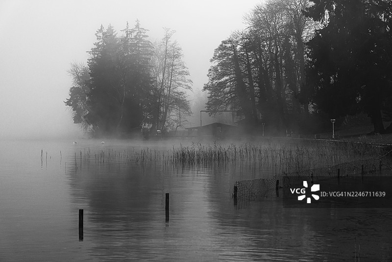 雾中的施塔恩贝格湖,背景是芦苇、栅栏、树叶和针叶树,黑白照片,历史悠久的拉维拉酒店,尼德珀兴,上巴伐利亚,巴伐利亚,德国图片素材