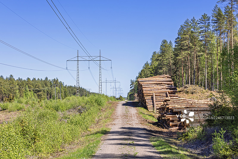 夏日晴空下，瑞典松树林中森林道路旁堆放着木材，旁边是高压电线。图片素材