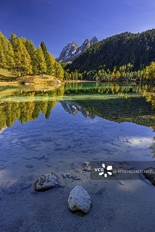 山间湖泊，倒影，山峦，落叶松林，秋季变色，秋天，晴朗，帕尔普奥尼亚湖，恩加丁，瑞士图片素材