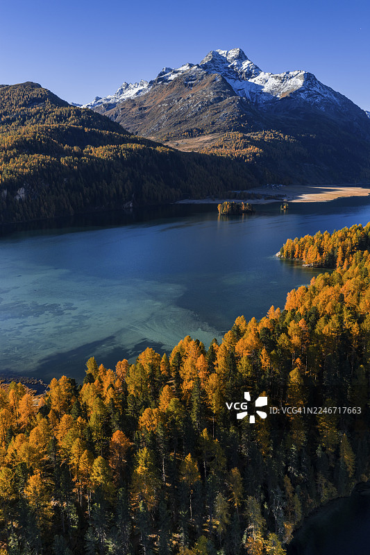 山景，山间湖泊，落叶松林，秋季，秋色，晨光，晴朗，鸟瞰，锡尔斯湖，恩加丁，瑞士图片素材
