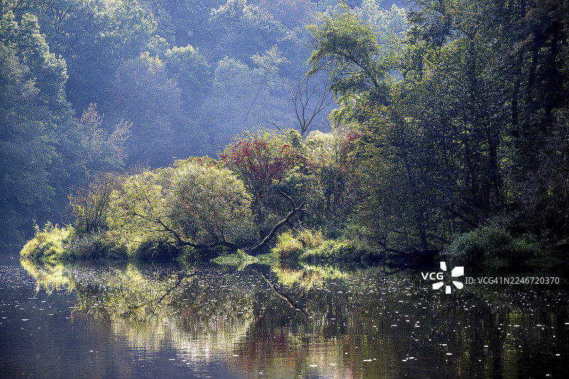 秋季风景，树木倒映在水中，泰亚河，泰亚谷国家公园，下奥地利，奥地利图片素材