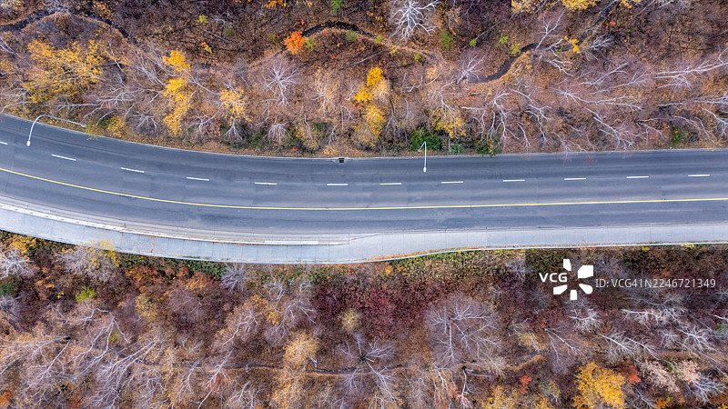加拿大阿尔伯塔省埃德蒙顿，秋季森林旁道路的俯视垂直视图图片素材