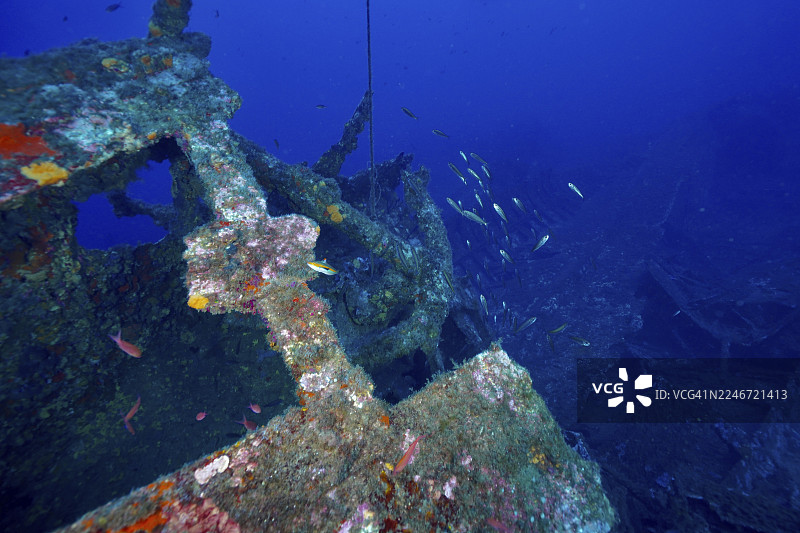 法国蔚蓝海岸普罗旺斯耶尔附近的海底沉船,沉船遗址“米歇尔·C号”,吉安半岛,波尔克罗尔,地中海,海绵覆盖的沉船细节特写图片素材