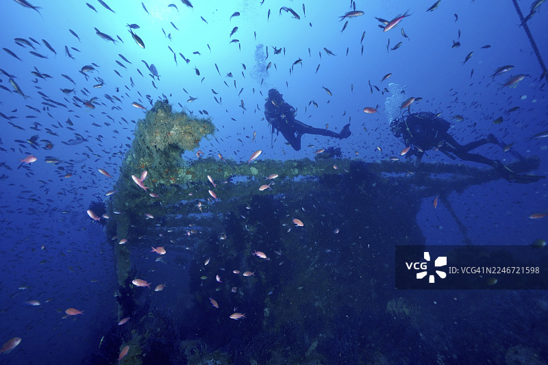 两名潜水员漂浮在一艘被鱼环绕的沉船上方,地中海鲈鱼(Anthias anthias),位于法国普罗旺斯蔚蓝海岸耶尔附近的海中沉船“Le Grec”潜水点,吉安半岛,波尔克罗尔岛,地中海。图片素材