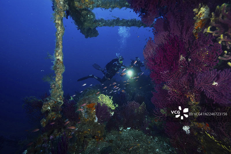 一名潜水员手持灯光，在希埃尔附近地中海的蓝色海水中探索着鱼群环绕的、长满海扇（Paramuricea clavata）的沉船，沉船位于Le Grec沉船潜水点，格拉夫半岛。图片素材