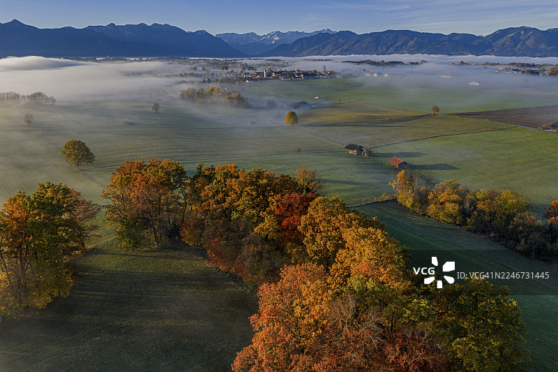 树木,橡树,山毛榉,阳光明媚,晨光,秋色,雾,鸟瞰图,里格湖,楚格峰景观,阿尔卑斯山麓,上巴伐利亚,巴伐利亚,德国图片素材