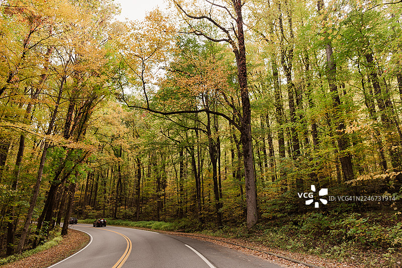 2025年秋季田纳西州五彩缤纷的秋季树木与街道景观图片素材