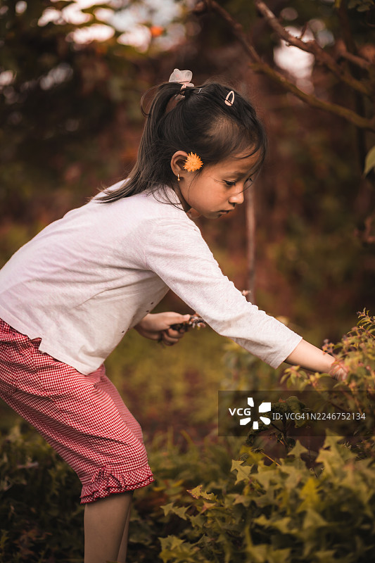 一个小女孩，头发上戴着一朵花，在户外探索植物，伸手触摸叶子。图片素材