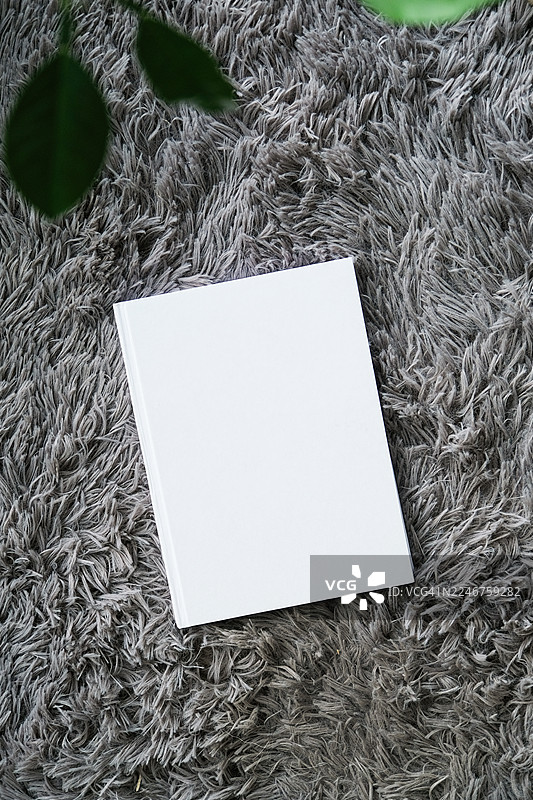 俯视角度拍摄，一张空白白皮书放在毛茸茸的灰色地毯上，旁边散落着绿叶。图片素材