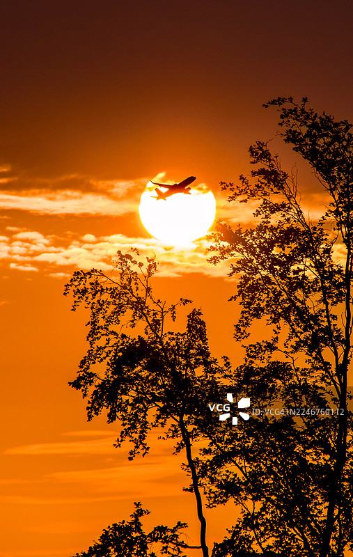剪影，飞机飞过落日，前景是树木，德国巴特赫斯费尔德图片素材