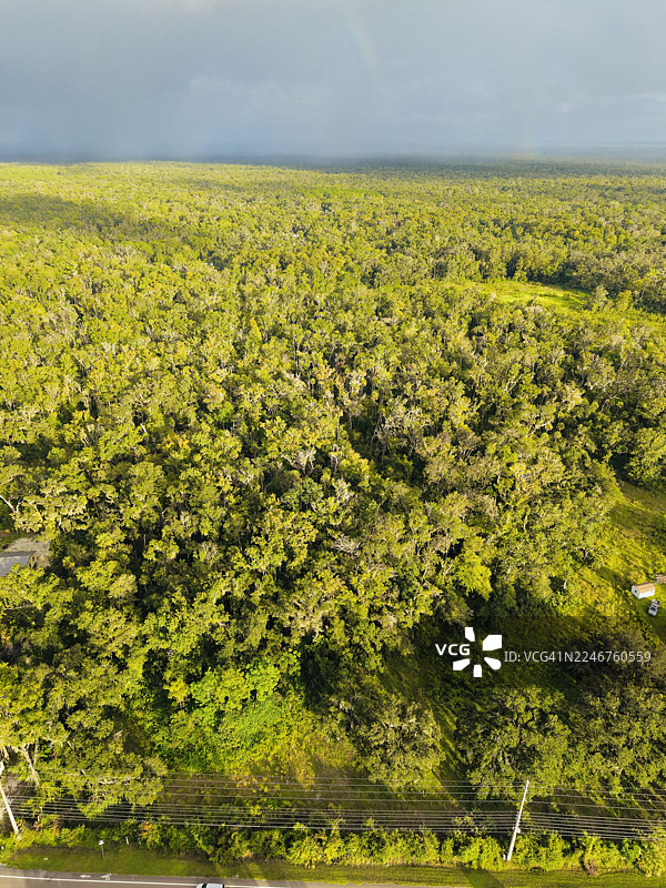 从空中俯瞰，在戏剧性的天空下，彩虹隐约可见，下方是郁郁葱葱的绿色森林，地点是美国佛罗里达州通诺托萨（Thonotosassa），莫里斯桥路（Morris Bridge Rd）。图片素材