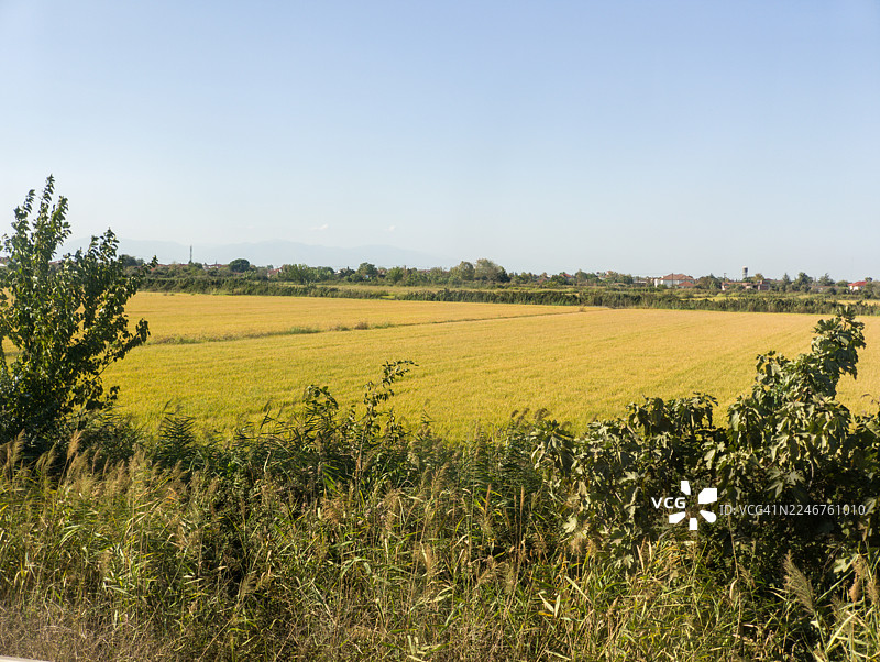 希腊，广阔的金色田野，蓝天白云，远处的山峦和村庄图片素材