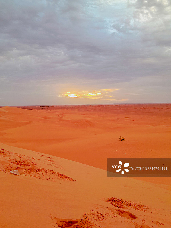 日落时分的沙漠风光，天空壮丽，位于阿尔及利亚艾因阿梅纳斯图片素材