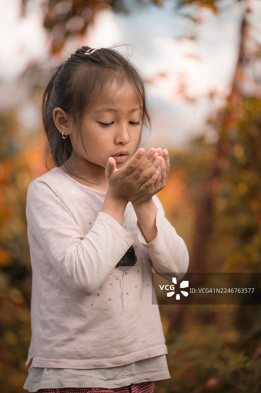 小女孩在户外双手捧在一起，闭着眼睛，专心致志或虔诚祈祷图片素材