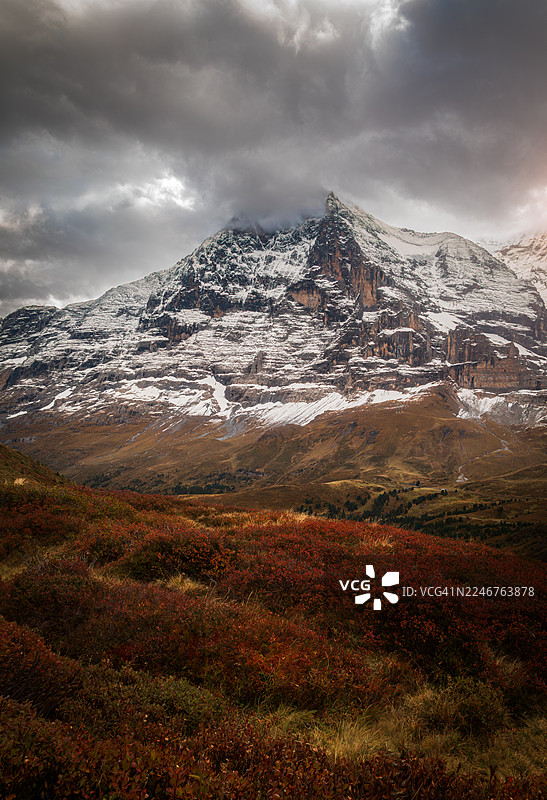 瑞士格林德瓦，雪山与秋叶在多云天气下的壮丽景色图片素材
