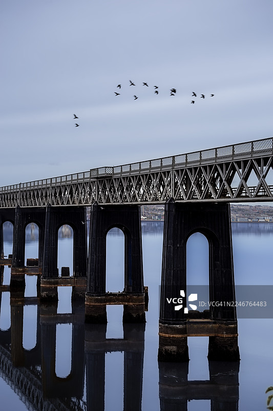 鸟儿飞越历史悠久的泰伊铁路桥，倒映在平静的泰伊河上，天空柔和，地点为英国邓迪。图片素材
