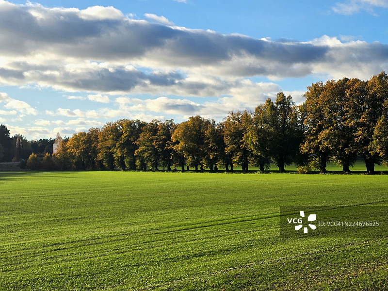 秋日里，绿意盎然的原野上，蓝天白云下，一行树木静静伫立。图片素材
