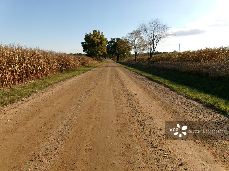 晴朗的蓝天下，阳光明媚的一天，一条空旷的土路蜿蜒穿过干涸的玉米地，美国，富尔顿图片素材