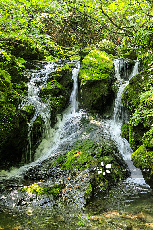 美丽的加里旺山自然风光图片素材