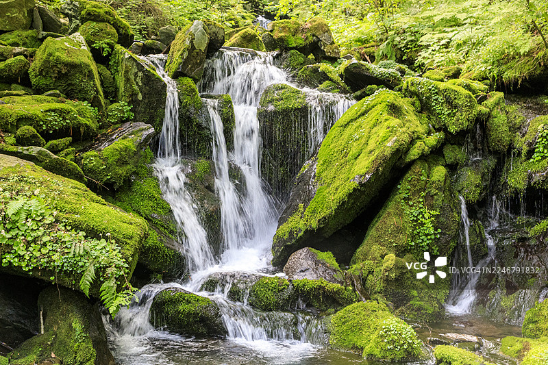 加里旺山的美丽自然风光图片素材