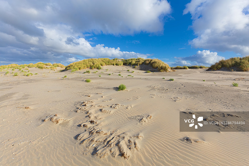 夸德霍克自然保护区（位于斯泰伦丹和奥德沃普附近）的沙丘图片素材