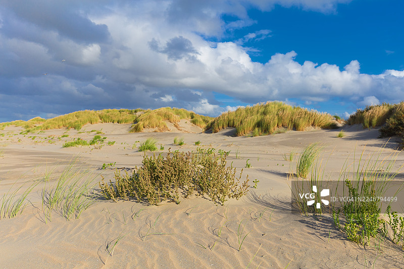 戈雷-奥弗拉凯岛上斯泰伦丹和奥德沃普附近的夸德霍克自然保护区图片素材