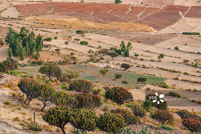 提格雷高原马里亚姆帕帕塞蒂教堂附近的风景图片素材