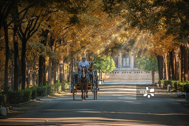 2018年7月8日，西班牙塞维利亚玛丽亚路易莎公园大道上的马车图片素材