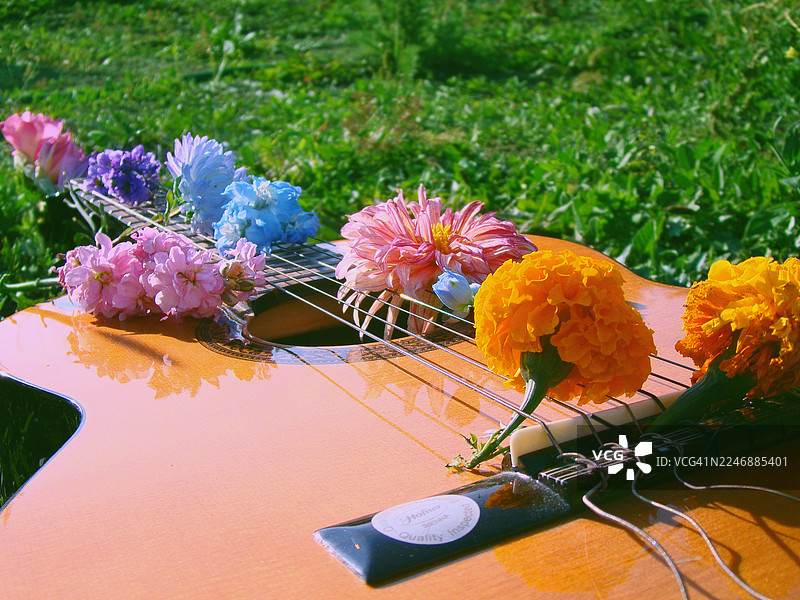阳光下草地上的吉他与鲜花图片素材