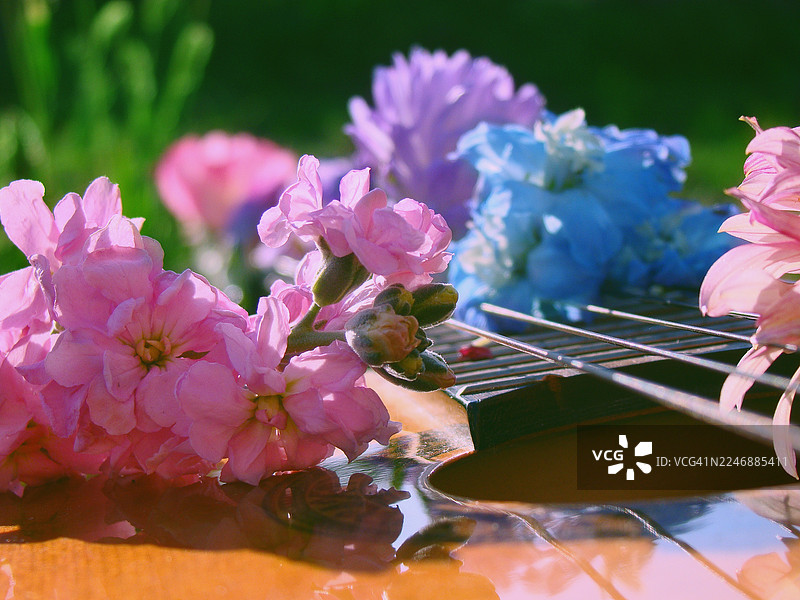 阳光下的草地上，一把吉他上放着鲜花图片素材