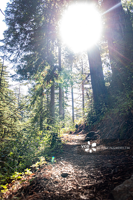 大苏尔海岸线图片素材