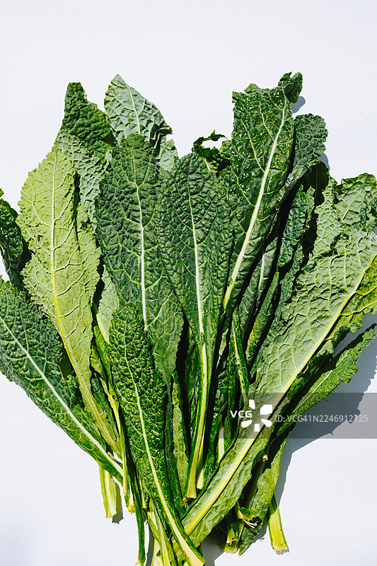 白色背景上的大羽衣甘蓝叶。天然沙拉绿叶蔬菜图片素材