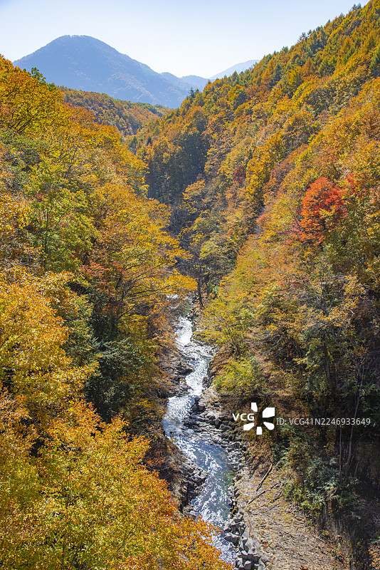 秋季日本福岛中津川溪谷的风景图片素材