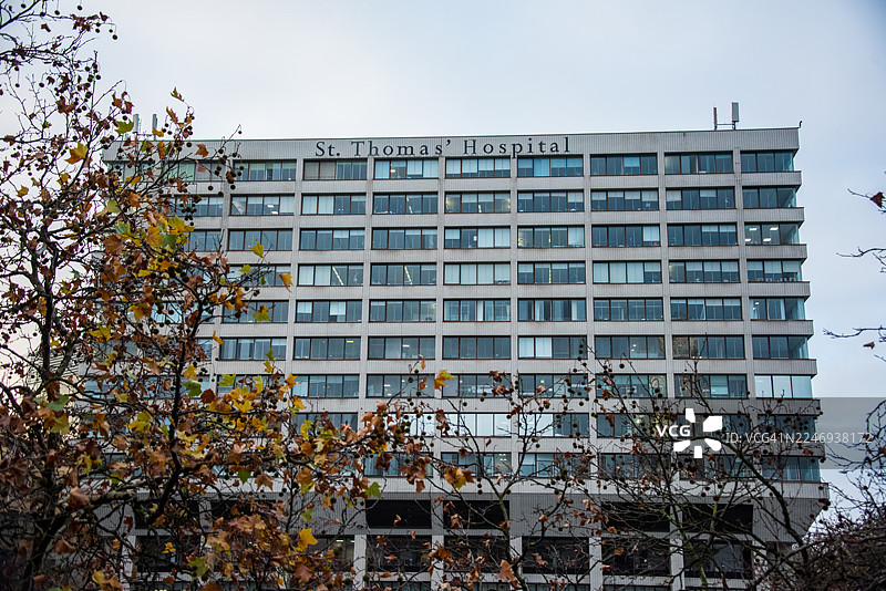 伦敦圣托马斯医院大楼，秋日树木掩映图片素材