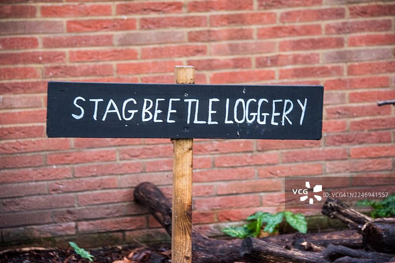 伦敦兰贝斯区的锹甲栖木野生动物栖息地图片素材