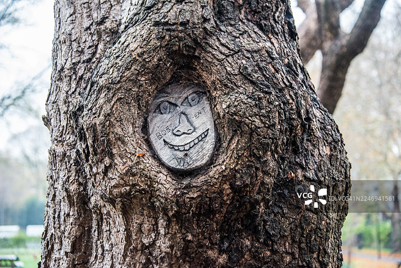 伦敦兰贝斯区树干上的脸部雕刻图片素材