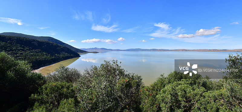 伊歇克尔湖的森林海岸图片素材