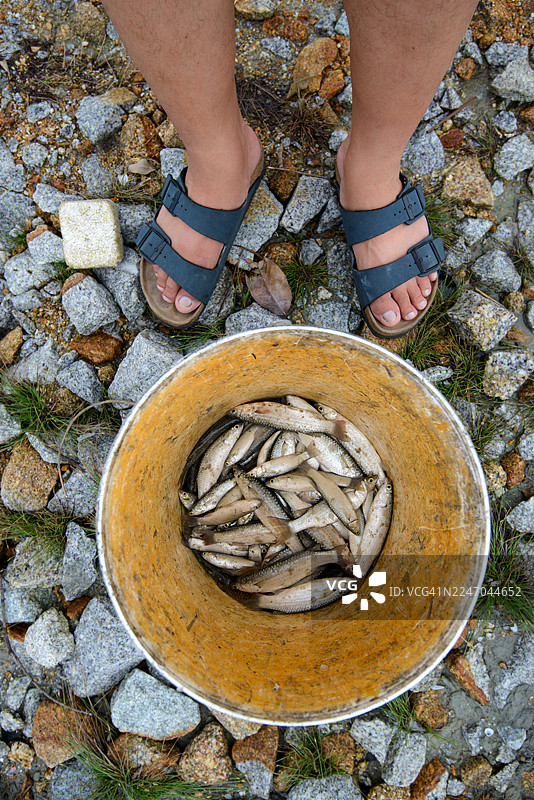 渔夫提着一桶生鱼图片素材