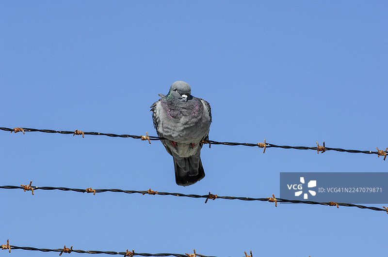 闭着眼睛图片素材