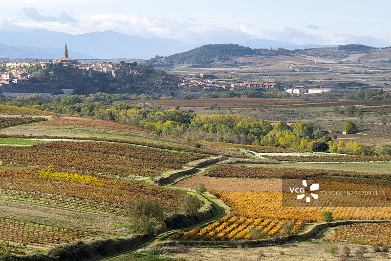 西班牙拉里奥哈布里奥内斯附近的葡萄园和连绵起伏的山丘图片素材