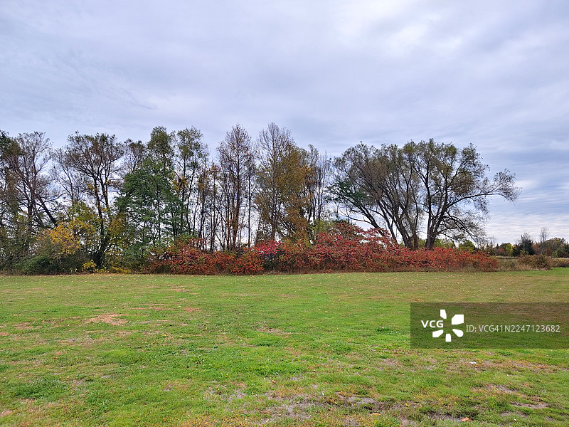 加拿大安大略省麦克尼科尔港帕特森公园宁静美丽的晨景图片素材