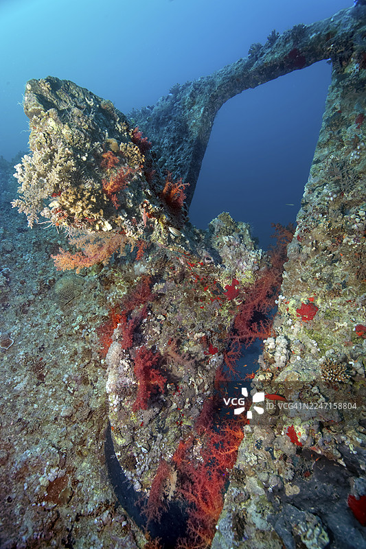 邓拉文号，沉船，失事船只，英国，螺旋桨，1876年4月22日沉没于沙阿卜马哈茂德，礁石，靠近西奈半岛南端，红海，埃及图片素材